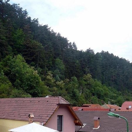 Casa Regal Villa Brassó Kültér fotó